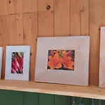 Kunstwerk Usedom & Fahrradherberge