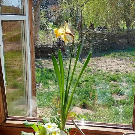 여관 Kunstwerk Usedom & Fahrradherberge *