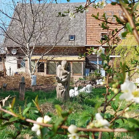 Kunstwerk Usedom & Fahrradherberge Mini-hôtel Usedom Town