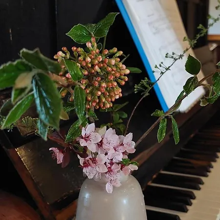 Locanda Kunstwerk Usedom & Fahrradherberge Usedom Town